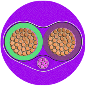 Communications Cables